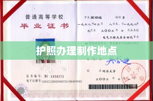惠安护照办理制作地点