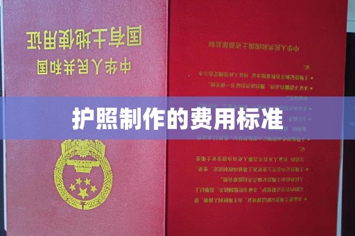 惠安护照制作的费用标准