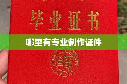 惠安哪里有专业制作证件