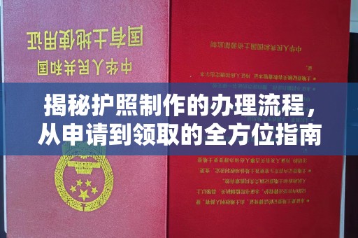 惠安揭秘护照制作的办理流程，从申请到领取的全方位指南