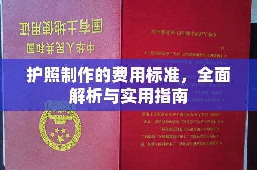 惠安护照制作的费用标准，全面解析与实用指南