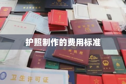 惠安护照制作的费用标准