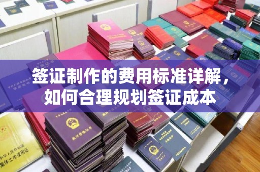 惠安签证制作的费用标准详解，如何合理规划签证成本